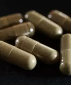 Mitragyna Speciosa Kratom