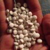 Oxymorphone
