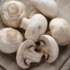 enoki mushroom