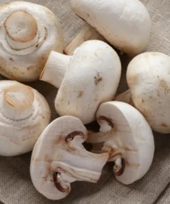 enoki mushroom